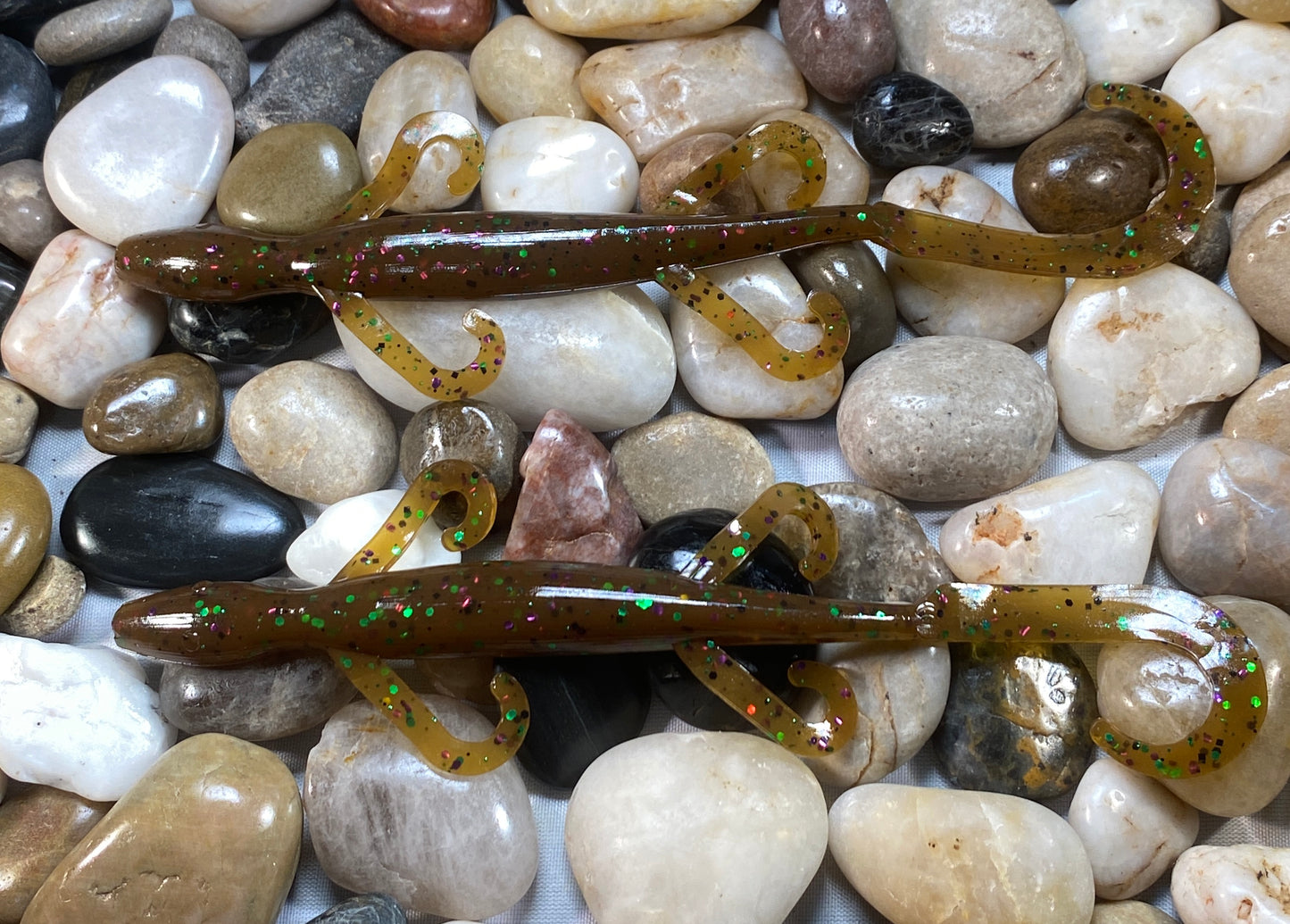 Hot Seat Skink 6 inch