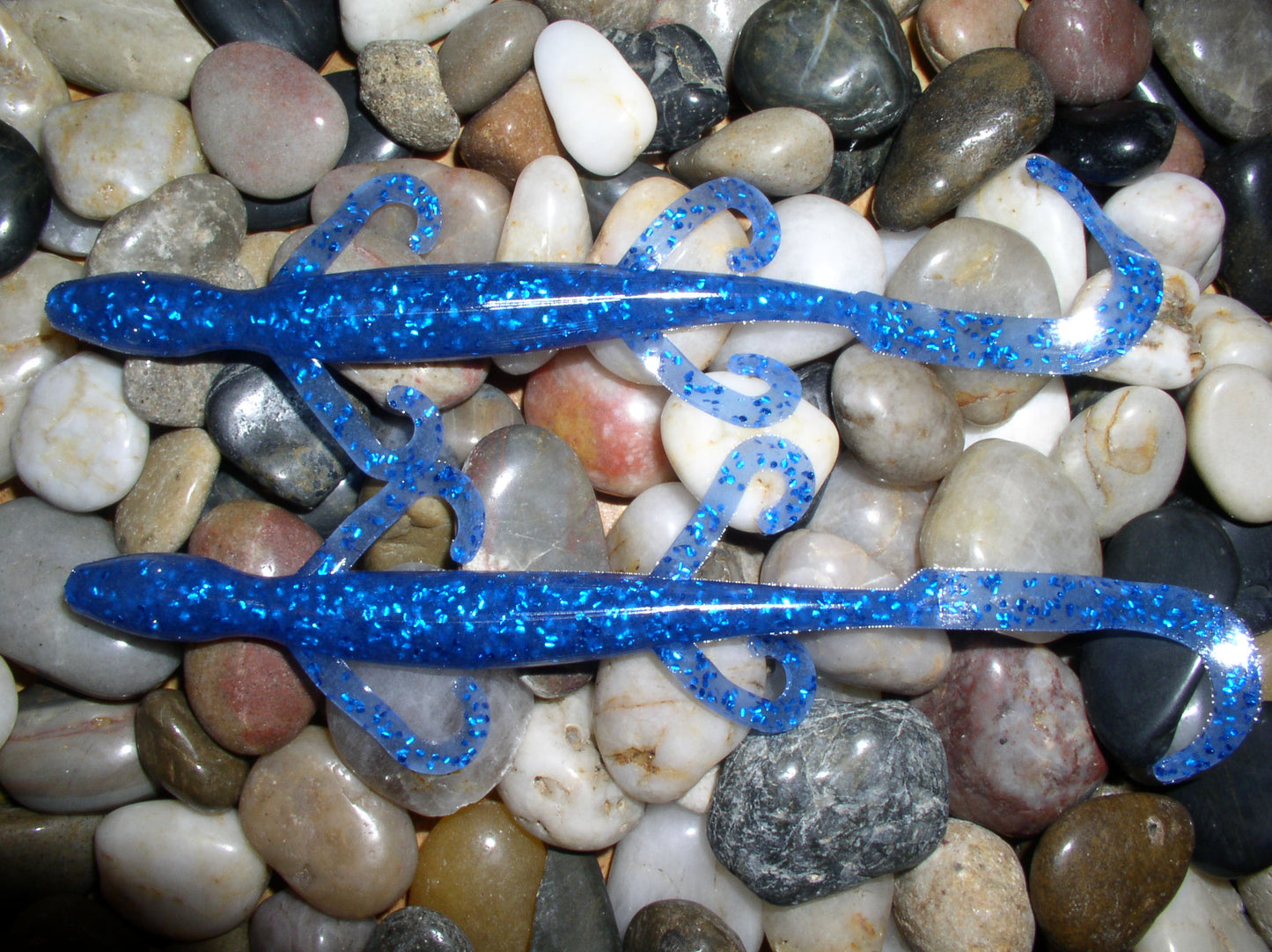Hot Seat Skink 6 inch