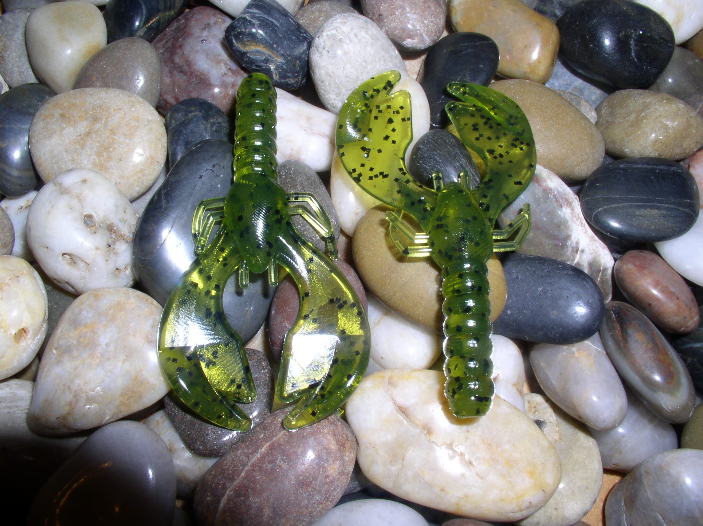 Kalvari Kraws Hot Wingz Kraws Jr – hotseatcustombaits